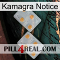 Kamagra Notice 25